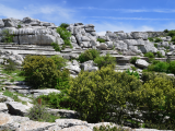 Krasová krajina, El Torcal (Španělsko,  Dreamstime)
