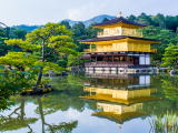 Zlatý chrám Kinkaku-ji (Japonsko, Dreamstime)