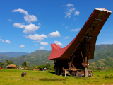 Tana Toraja (Indonésie, Dreamstime)