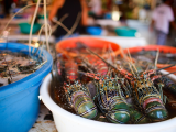 Mořské plody (Filipíny, Shutterstock)