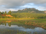 Jezero a rýžová pole na Sulawesi (Indonésie,  Dreamstime)