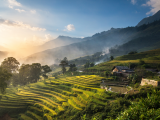 Rýžové terasy, Sapa (Vietnam, Dreamstime)