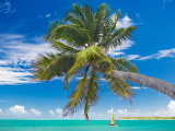 Karibská pláž (Dominikánská republika, Dreamstime)