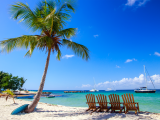 Krásná pláž na ostrově Saona (Dominikánská republika, Dreamstime)
