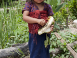 Laoské dítě poblíž Muang Sing (Laos,  Dreamstime)