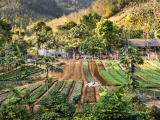 Zemědělská olast v srdci severního Laosu (Laos,  Dreamstime)