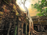 Chrám Ta Prohm (Kambodža, Dreamstime)