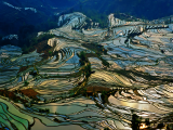 Starověké rýžové terasy v Yuanyangu (Čína, Dreamstime)