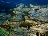 Starověké rýžové terasy v Yuanyangu (Čína,  Dreamstime)