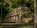 Starověká mayská budova, Yaxchilan (Mexiko, Dreamstime)