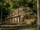 Starověká mayská budova, Yaxchilan (Mexiko,  Dreamstime)