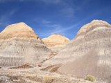 NP Petrified Forest, Arizona (USA, Dreamstime)