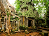 Angkor Wat (Kambodža, Shutterstock)