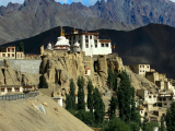 Na městečko shlíží buddhistický klášter (Indie,  Shutterstock)