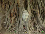 Ayutthaya (Thajsko, Shutterstock)