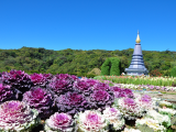 Doi Ithanon (Thajsko, Shutterstock)