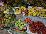 Ovoce jižního Vietnamu (Vietnam, Bc. Patrik Balcar)