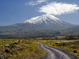 Ararat (Turecko, Shutterstock)