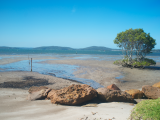 Nelsons Bay (Austrálie, Dreamstime)