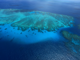 Velký korálový útes (Austrálie, Dreamstime)