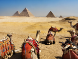 Pyramidy, Gíza (Egypt, Dreamstime)