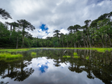 Jezero Los Patos v NP Huerquehue (Chile, Dreamstime)