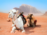 Wádí Ram (Jordánsko,  Shutterstock)