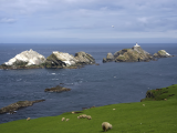 Muckle Flugga (Orkneje a Shetlandy, Dreamstime)