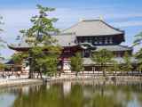 Chrám Nara Todaiji (Japonsko, Dreamstime)