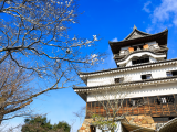 Hrad Inuyama (Japonsko, Dreamstime)