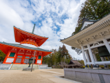 Pagoda Daito a chrám Danjo Garan v Koyasanu (Japonsko, Dreamstime)
