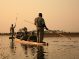 Okavango (Botswana,  Shutterstock)