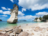 Coromandel (Nový Zéland, Dreamstime)