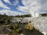 NP Rotorua (Nový Zéland, Dreamstime)