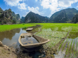 Rýžová loďka, Ninh Binh (Vietnam, Dreamstime)