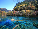 Jezero v NP Jiuzhaigou (Čína, Dreamstime)