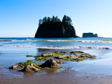 Pláž La Push (USA, Dreamstime)