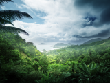 Džungle v NP Morne Seychellois, ostrov Mahé (Seychely, Dreamstime)