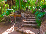 Vallée de Mai, NP Praslin (Seychely, Dreamstime)