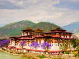 Pevnost, Punakha (Bhútán, Dreamstime)