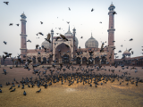 Mešita Jama Masjid, Dillí (Indie, Dreamstime)