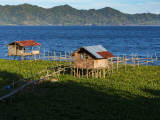 Rybářská farma na jezeře Tondano (Indonésie, Dreamstime)