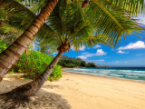 Exotická pláž na Jamajce (Jamajka, Dreamstime)
