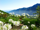 Encumeada, Madeira (Portugalsko, Shutterstock)