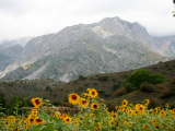 Kyrgyzské hory (Kyrgyzstán, Dreamstime)