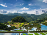 Rýžové terasy u vesnice Banaue (Filipíny, Dreamstime)