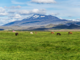 Hekla (Island, Dreamstime)