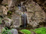 Barranco del Infierno (Kanárské ostrovy, Dreamstime)