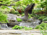 Kanazawa – Kenroku-en (Japonsko,  Mgr. Václav Kučera)