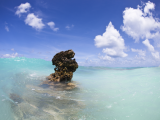 Průzračné moře, Reunion (Réunion, Shutterstock)